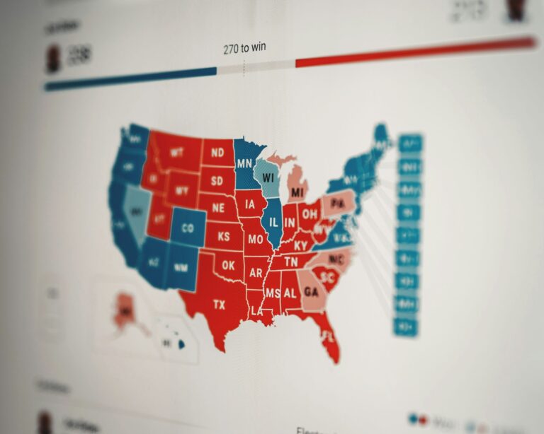 Politik live: 5AHM diskutiert online mit Expertin über US-Wahlen